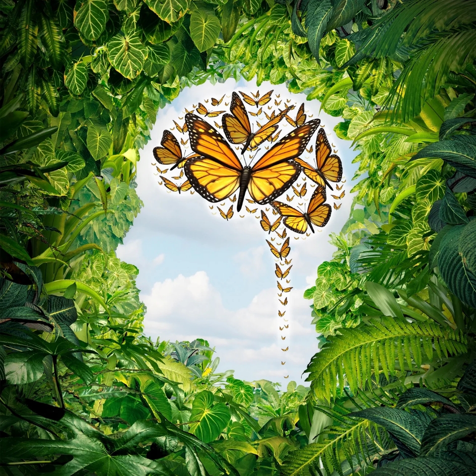 kognitives Verhaltenscoaching_Berlin_Reinickendorf